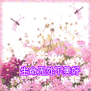 qq嗷大猫表情8