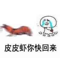 暴走熊猫呼叫表情包10