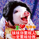 个人小目标恶搞表情5