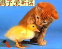 qq里双手抨住的表情什么意思4