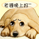 你若生气我不气8