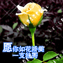 表情包美女生气了5