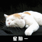 基督祝福的动画表情9