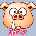 二哈指人的表情包动态2