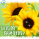 心慌意乱的表情大全13