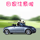 微信天线宝宝gif表情包3