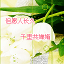 微信祝福掉表情鼠年3