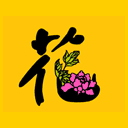 有关面部的动画表情2
