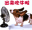 权志龙生气表情包动态图片1