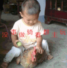 我不老实表情包6