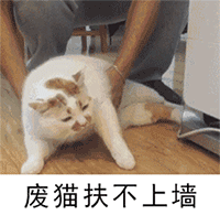 动漫小鸡表情包1