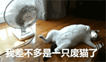 竖屏文字表情图片1