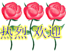 黑猫跳舞沙雕表情包动图8