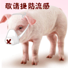 只为世界上最美的表情是什么歌6