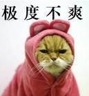 推荐10张辈子的微信表情5