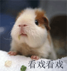 比喻锤子的GIF表情4