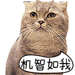 眼里的表情8