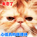 带表情图的微信网名10