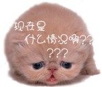 动漫小女孩崩表情包3