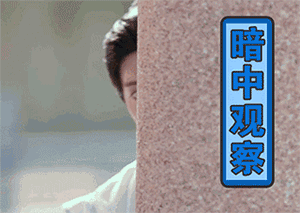 二哈进群前后变化表情5