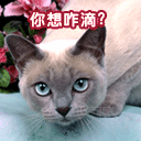 p图可爱表情简笔画12