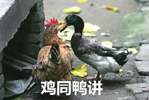 顽皮表情是什么意思7