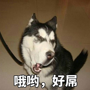 如何把视频做成表情包7