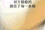 张学友吔屎啦表情10