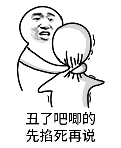 描述祝福的表情图5