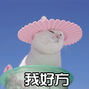 10组原神的表情包7