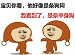 抖音滑稽表情的熊公仔2
