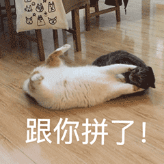 2023有关生气的调皮表情10