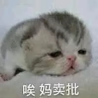 美女搞笑麻将图片表情包1