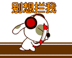 飞的表情包9