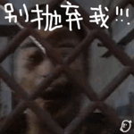 西内搞怪表情包1