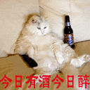 帅哥谢谢表情图片4