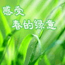 生气背手表情包6