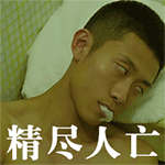 送群主的节日祝福表情包10