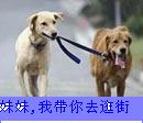 恶搞笑表情图片11