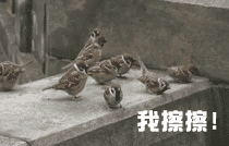 这是的表情6