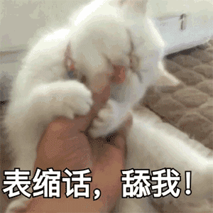 很多表情的心情图片12