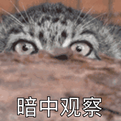 全网最火表情包动图1