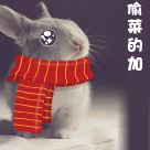 搞笑表情包模板剪影1