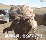 老师真诚问候表情包5