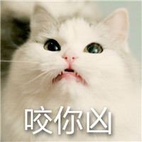 老战友问候语表情3