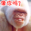 15组大全的字符表情4
