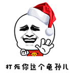 描述我们的经典表情14
