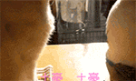 把人踢出群的表情7
