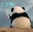 表情包素材图片动态图3
