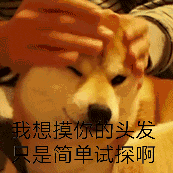形容比喻的文字表情1